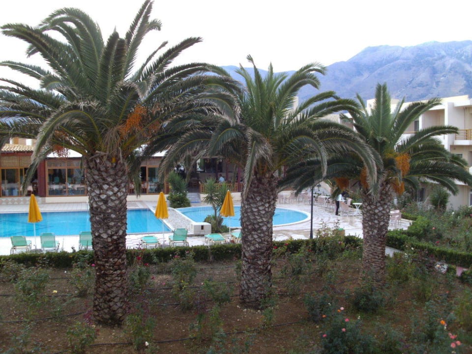 Blick auf den Pool Delfina Tropic Beach