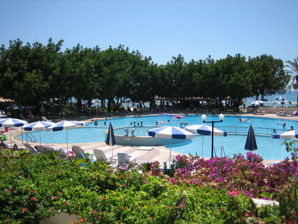 Blick auf Pool Top Hotel