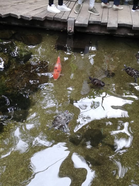 Sonstiges Center Parcs De Kempervennen