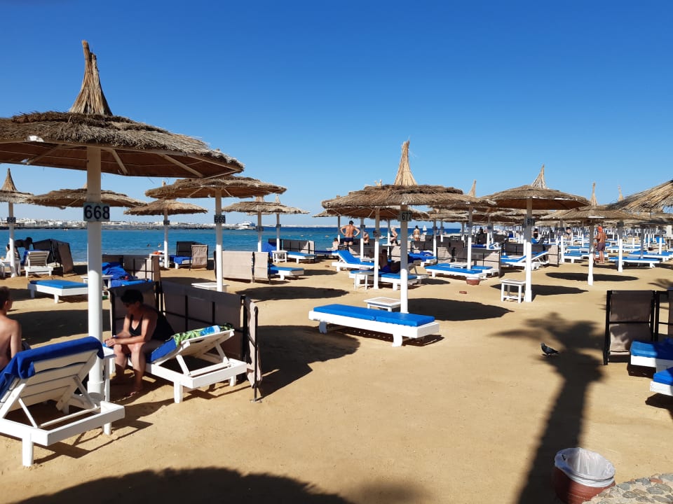 Strand Pickalbatros Alf Leila Wa Leila Resort - Neverland Hurghada