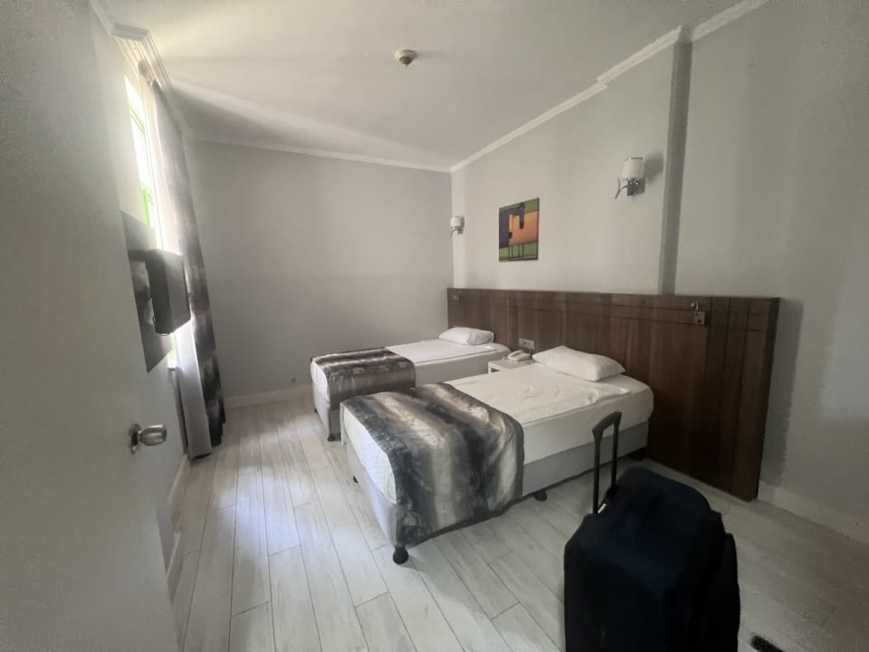 Zimmer Green Max Hotel