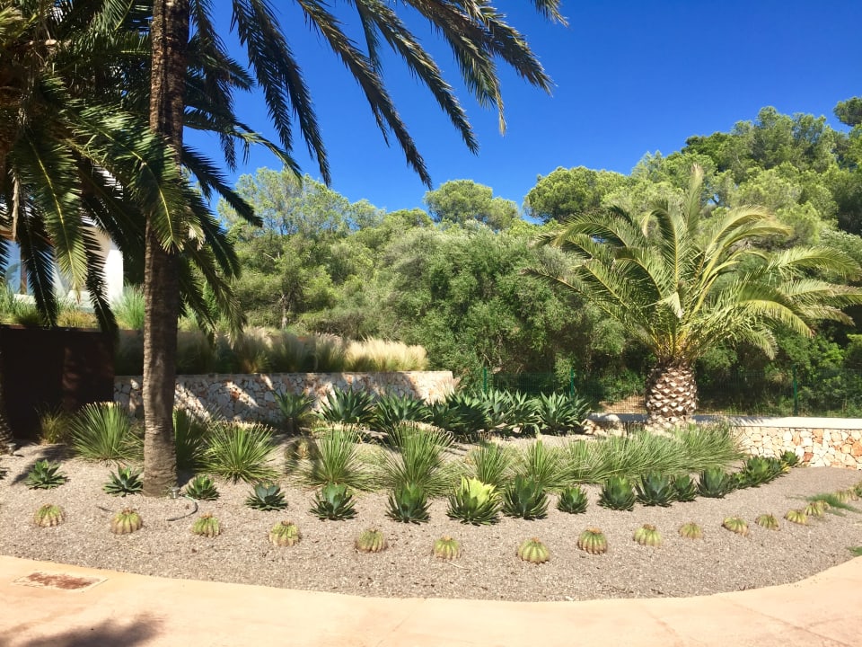 Gartenanlage ROBINSON CALA SERENA