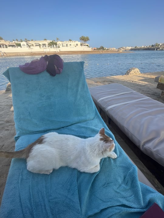 Ausblick Sultan Bey Hotel, El Gouna