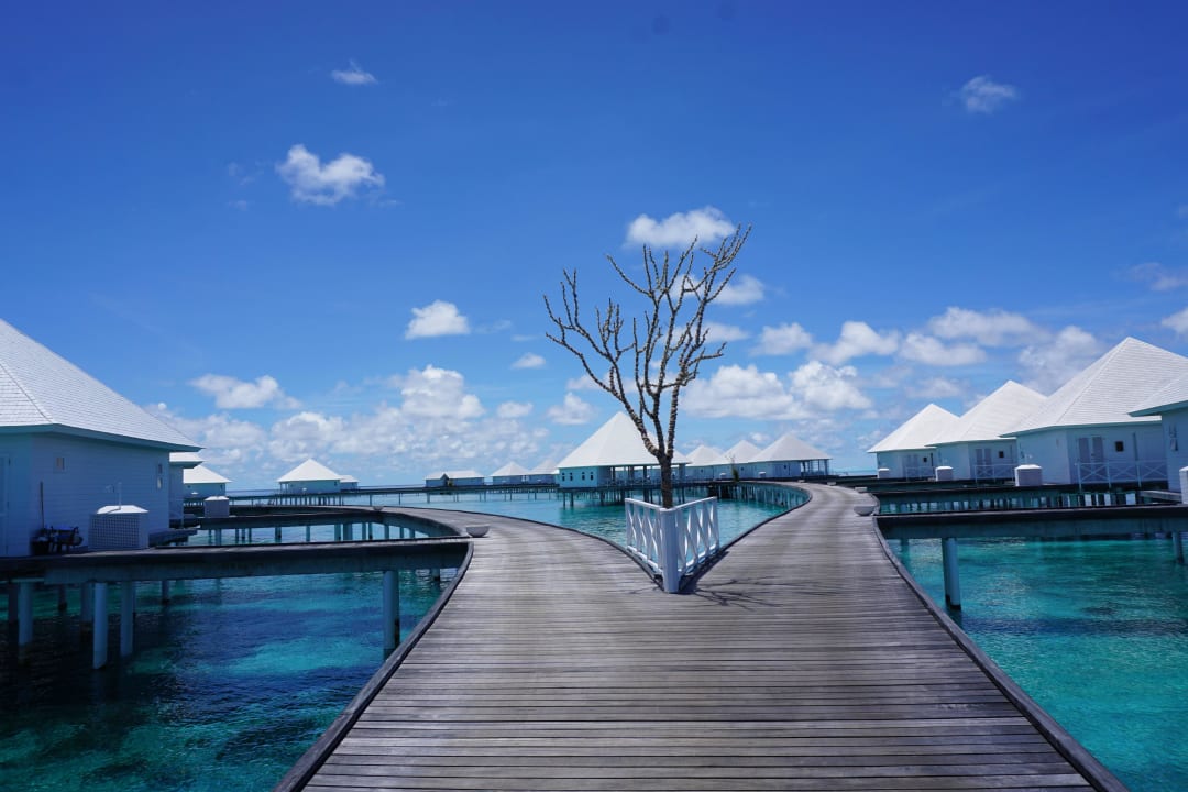 Der Weg zu den Wasservillen Diamonds Thudufushi