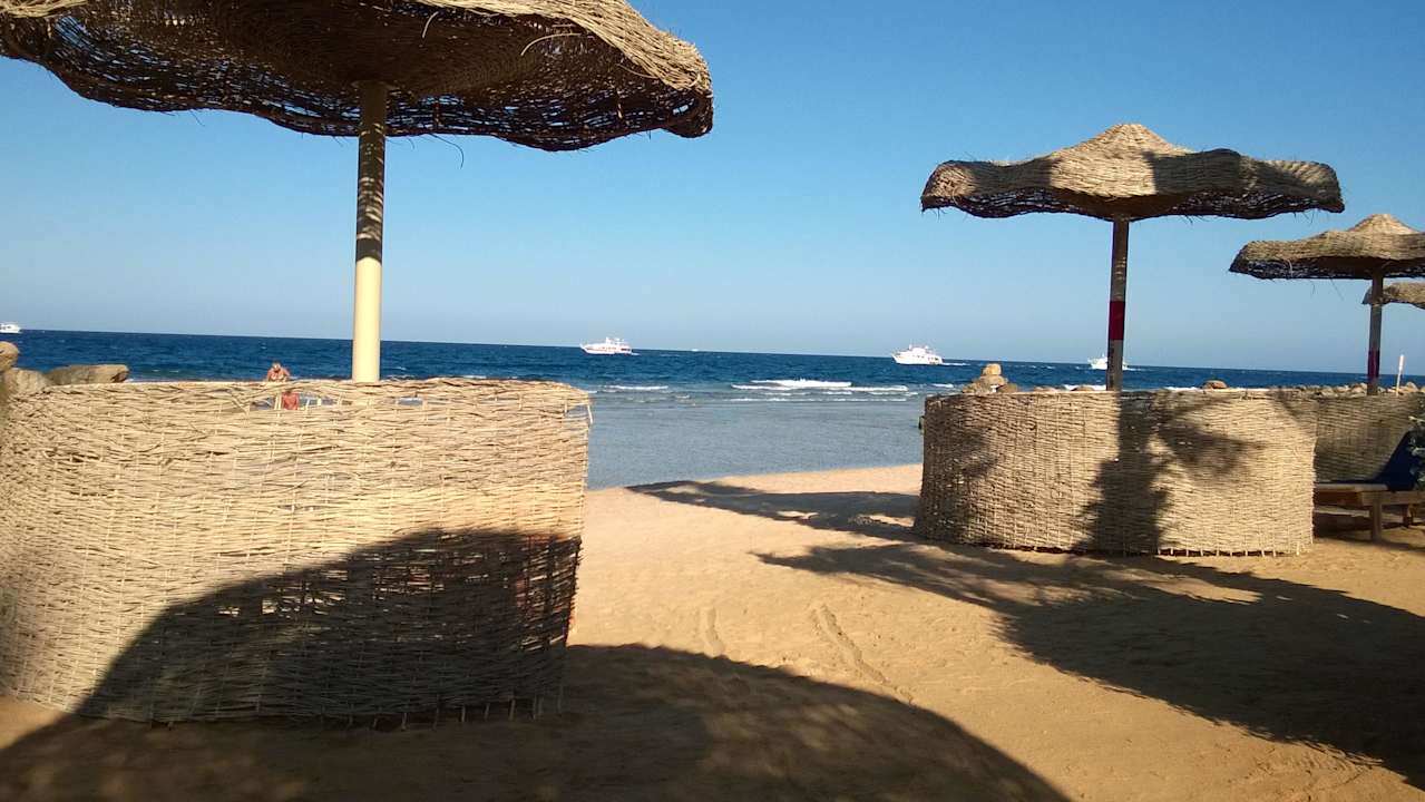 Citadel Azur - пляж отеля Pickalbatros Citadel Resort