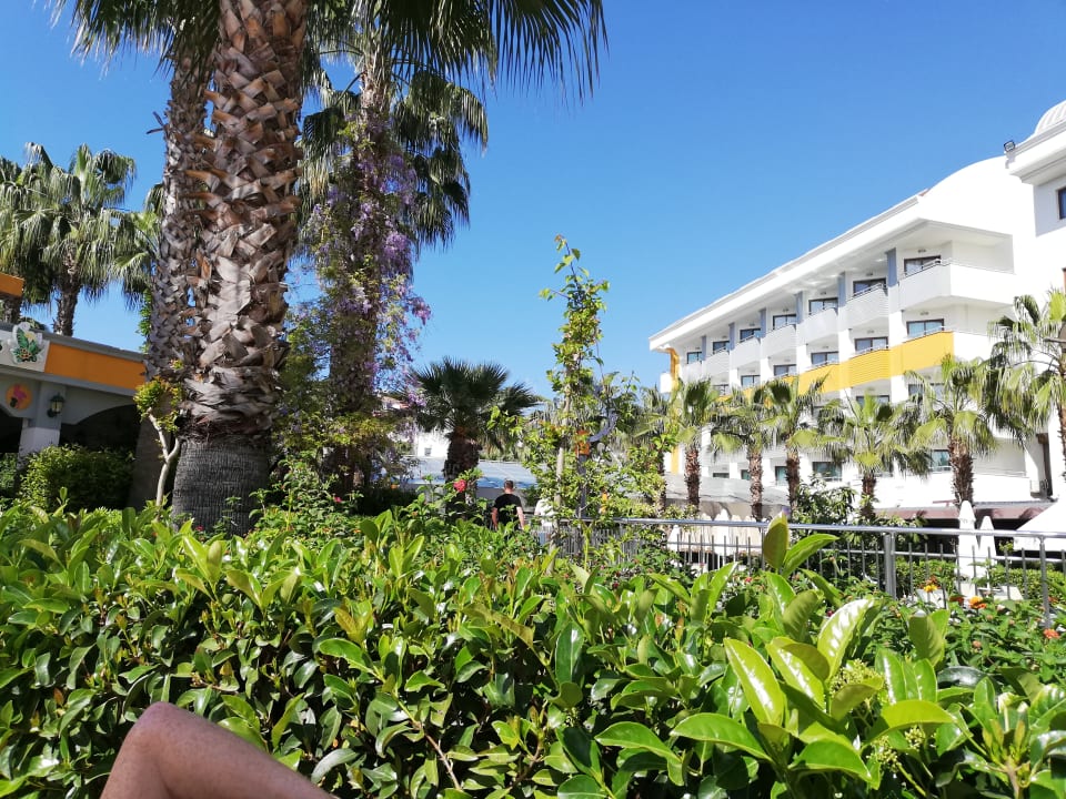 Außenansicht Hane Family Resort