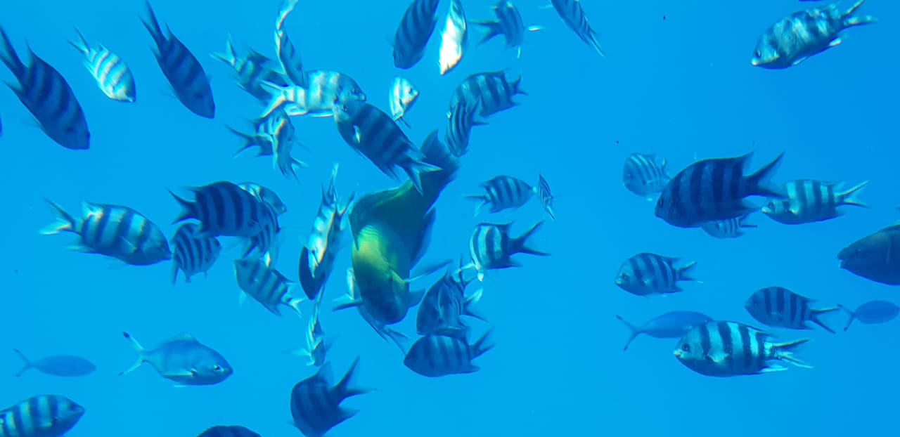 Strand Cleopatra Luxury Resort Makadi Bay