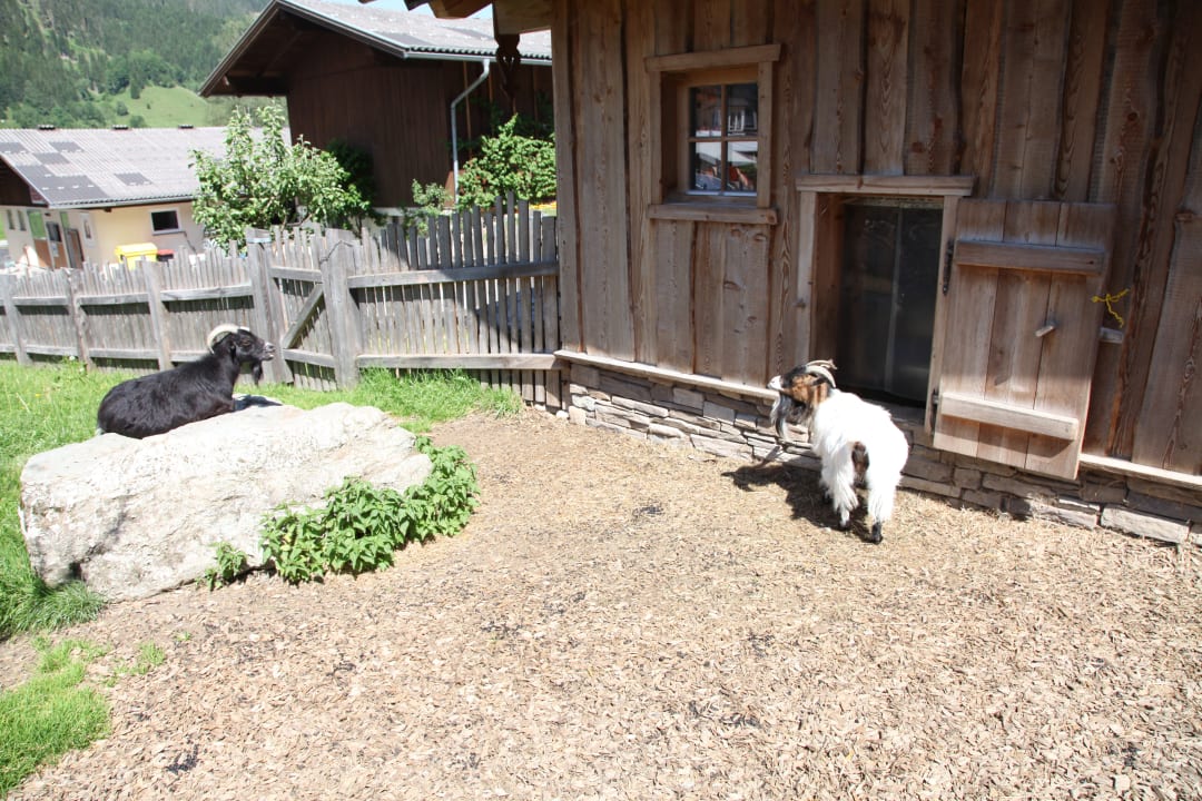 Gartenanlage Hotel Taxerhof