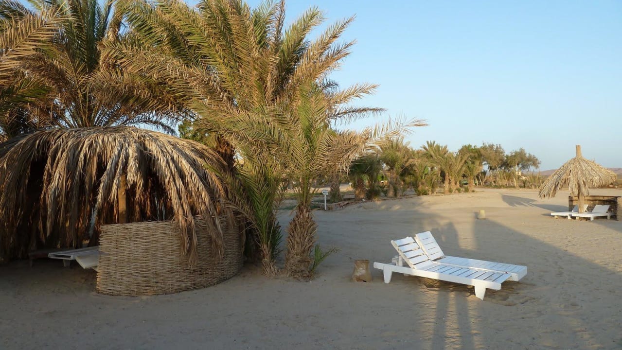 Strand Utopia Beach Club