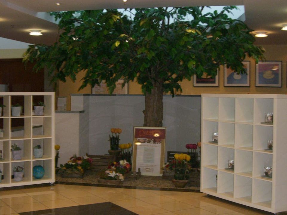 Bepflanzung in der Lobby Welcome Parkhotel Bochum