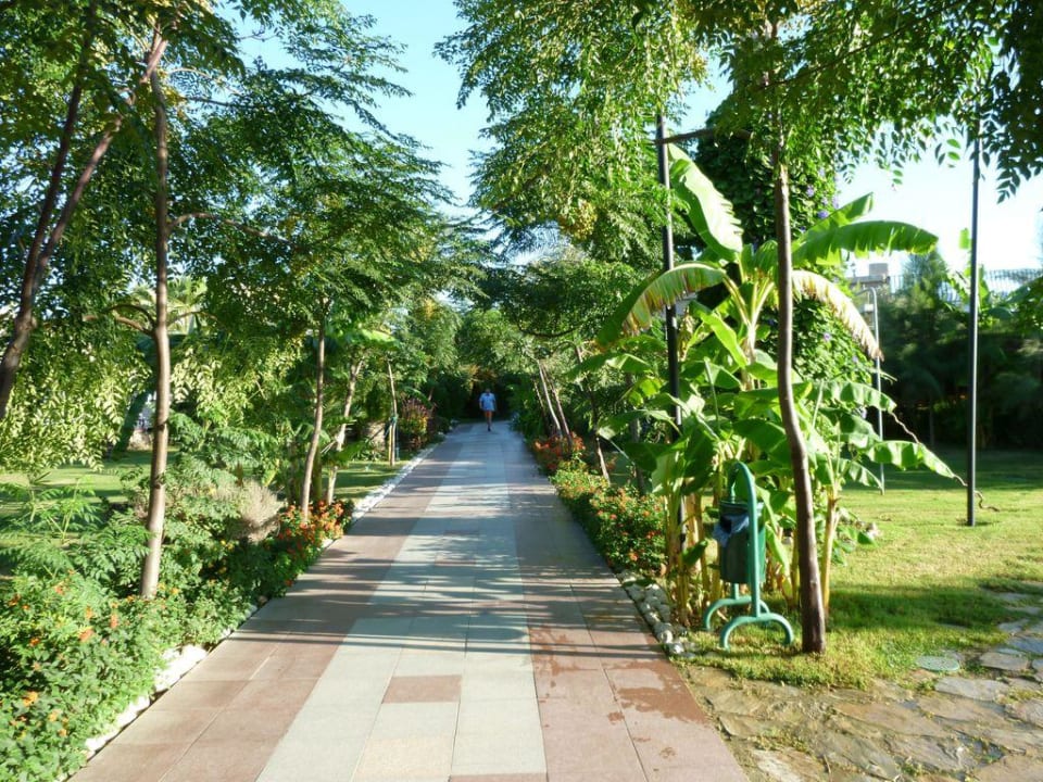 Weg zum Strand Belek Beach Resort Hotel