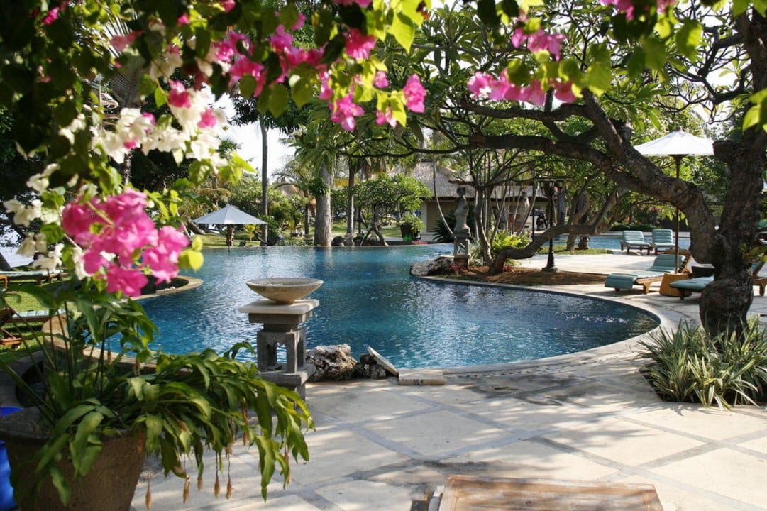 Poolanlage Puri Bagus Lovina