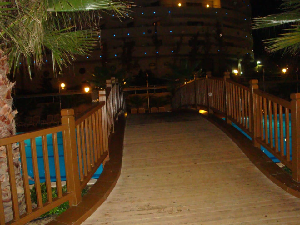 Super! Dizalya Palm Garden