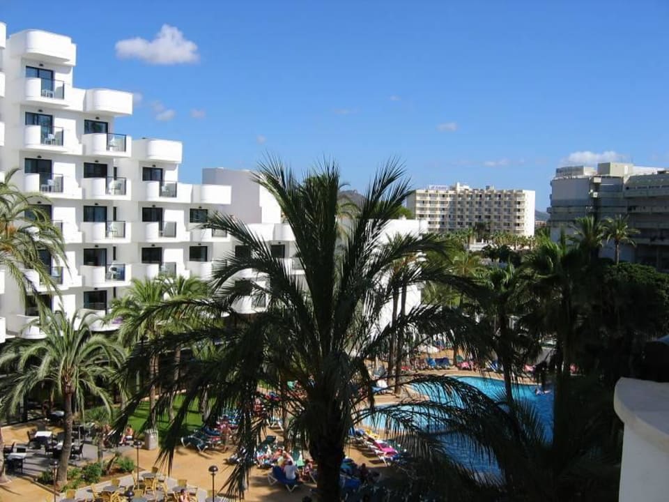 Blick auf Pool und Nachbarhotel Protur Palmeras Playa Aparthotel