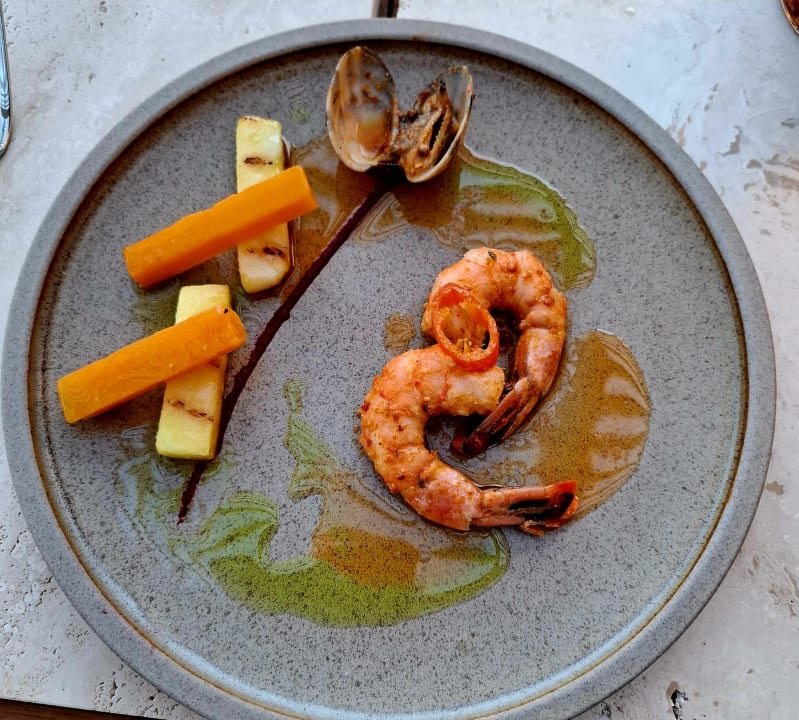 Gastro Anda Barut Collection