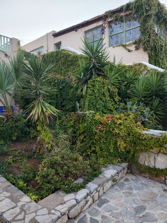 Außenansicht Silva Beach Hotel