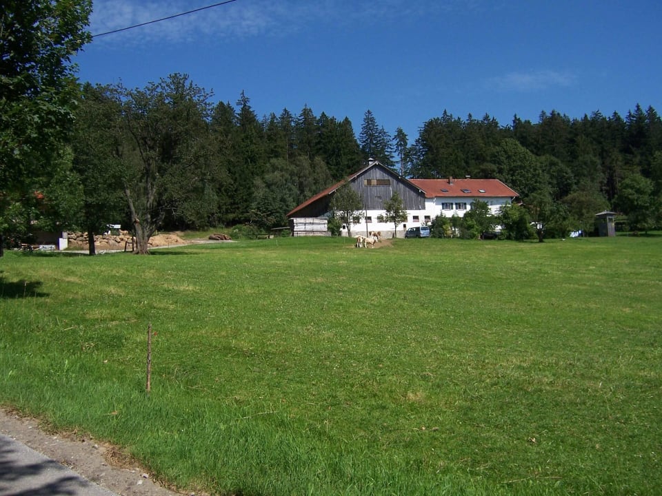 Wunderschöne Alleinlage Ferienwohnungen Kraushof