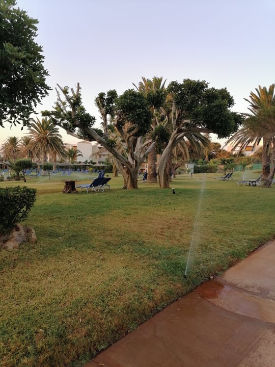 Gartenanlage Anissa Beach & Village