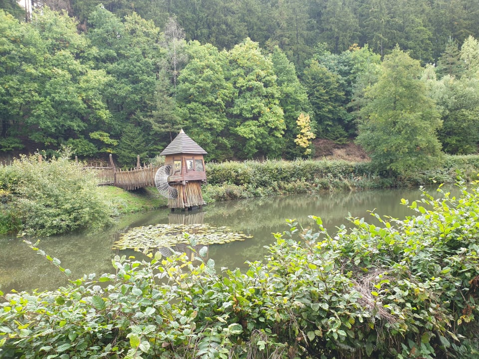"Gartenanlage" Center Parcs Park Eifel (Gunderath) • HolidayCheck