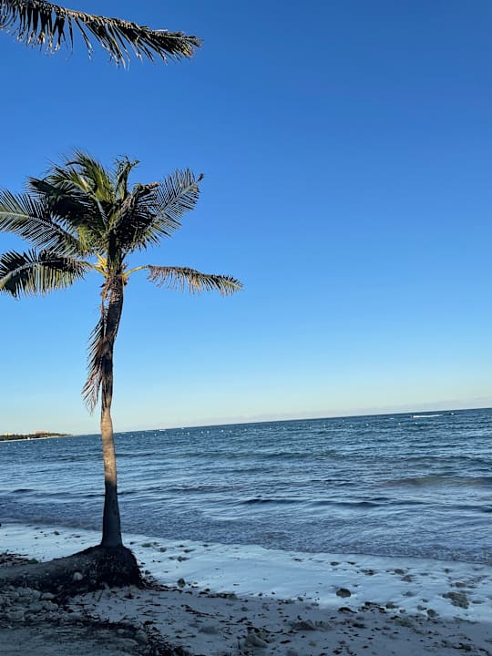 Strand TRS Yucatan Hotel - Adults only