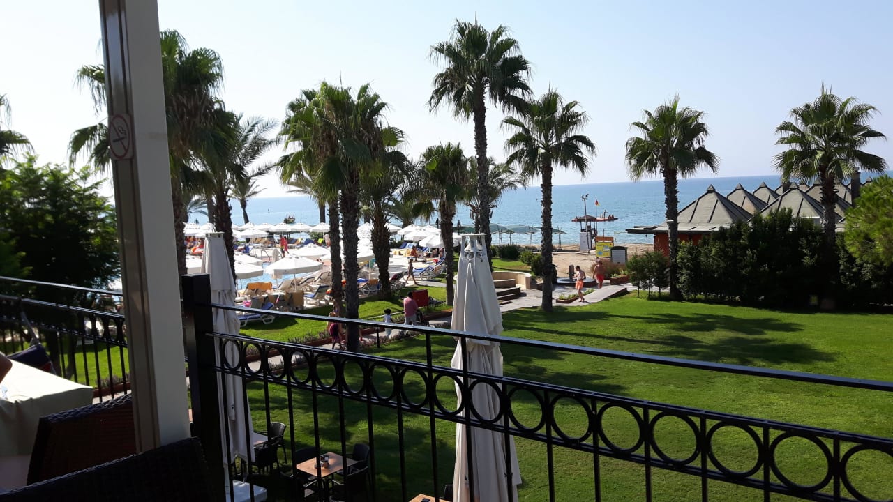 Meer Papillon Belvil