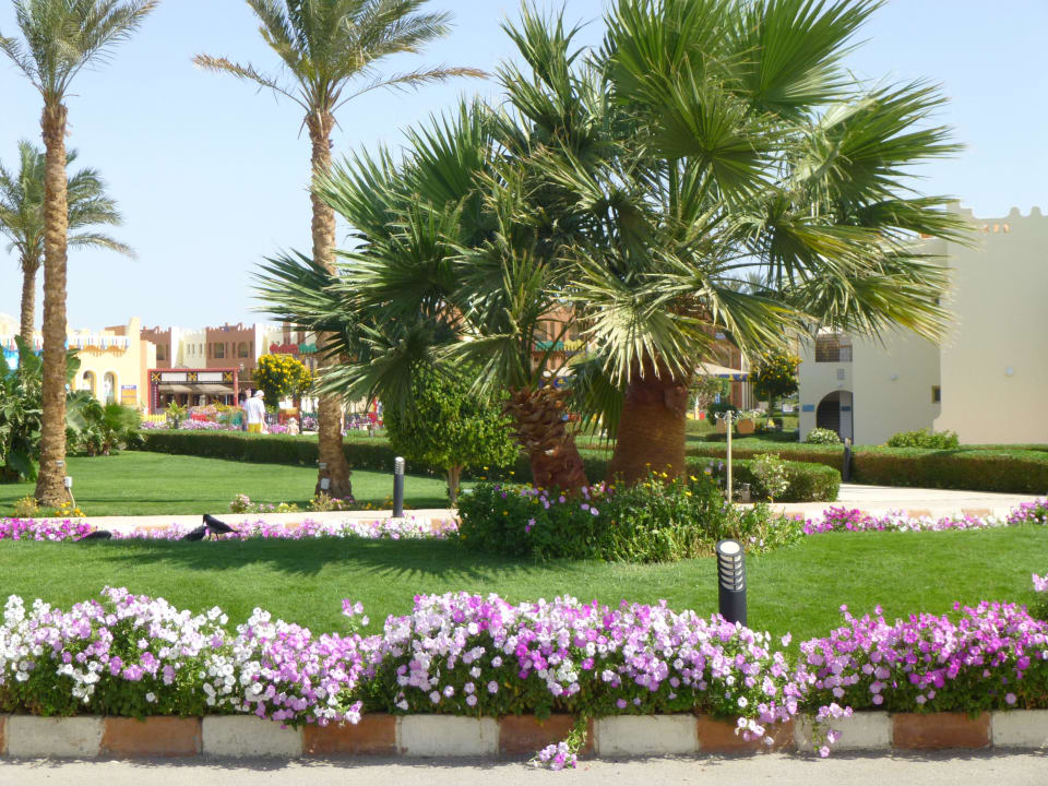 Einfach nur schön !!! SUNRISE Royal Makadi Resort