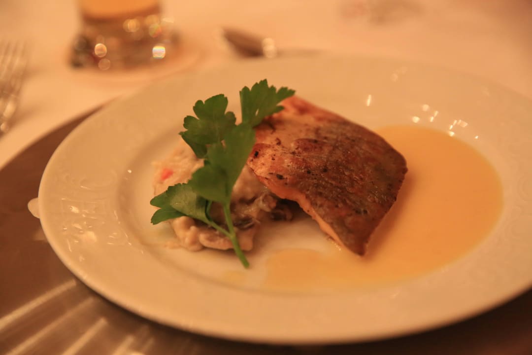 Gang 3 - Saiblingfilet an Champignonrisotto Landgasthof Zum Jossgrund