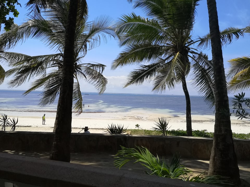 Ausblick Hotel Traveller's Club