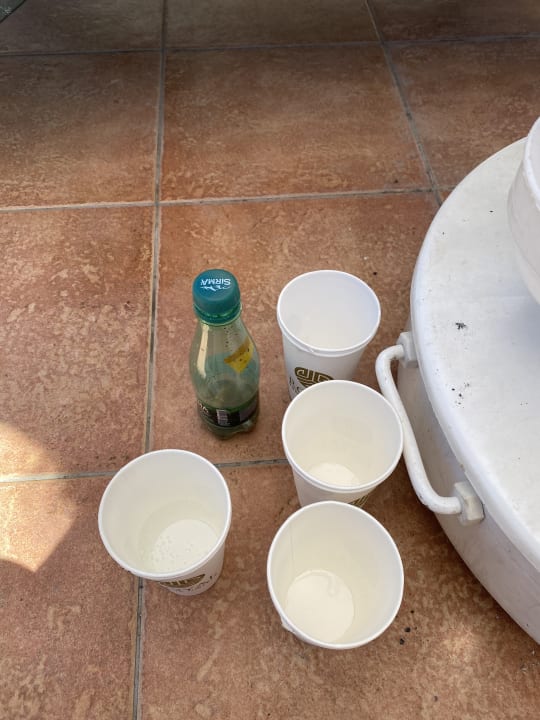 Sonstiges Royal Wings Hotel