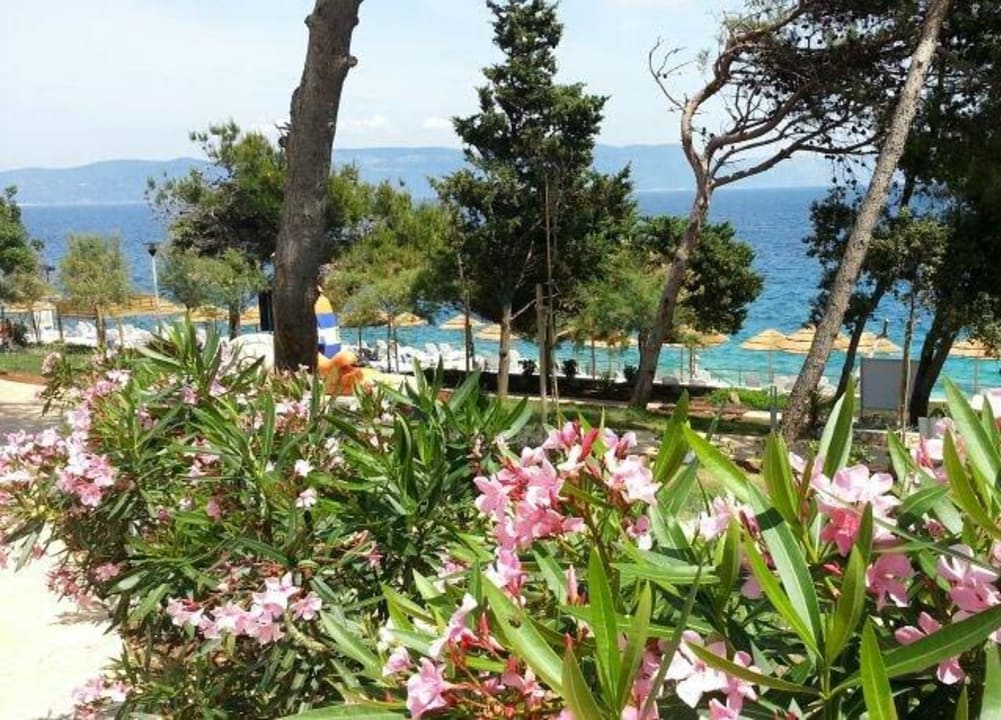 Tolle Bepflanzung Valamar Sanfior Hotel & Casa