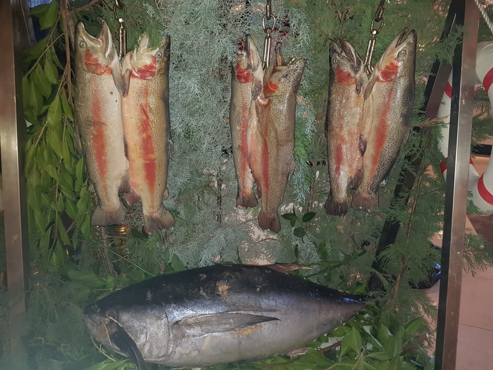 Gastro Well Palace Side