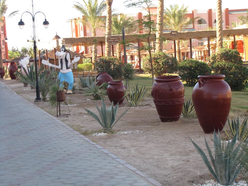 Ogród Pickalbatros Aqua Park Resort - Hurghada
