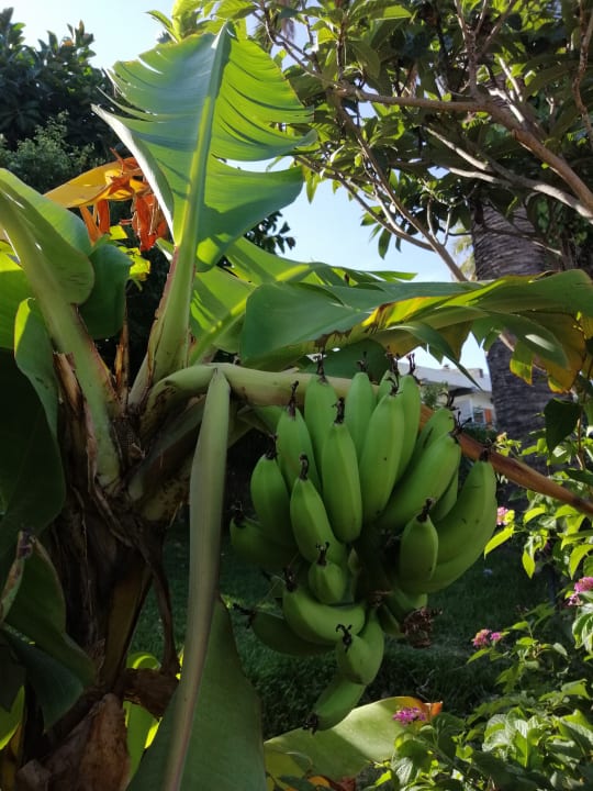 Gartenanlage Aldiana Club Rocca Nettuno Calabria