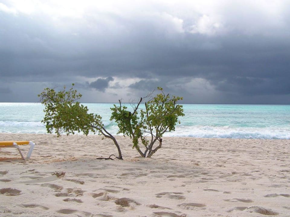 Strand Iberostar Selection Paraiso Maya Suites