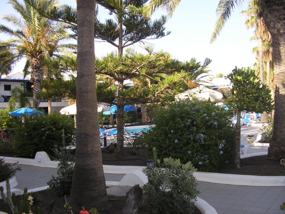 Sehr gepfelgte Gartenanlage Bungalows & Appartements Playamar