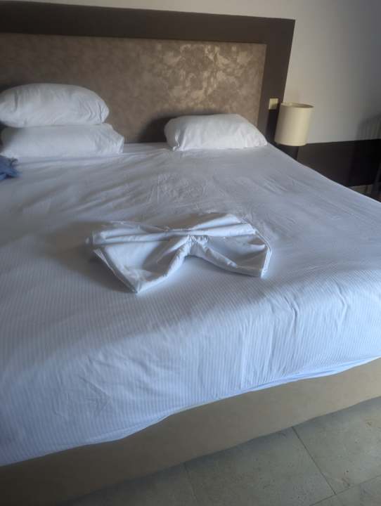 Zimmer PALOMA Perissia