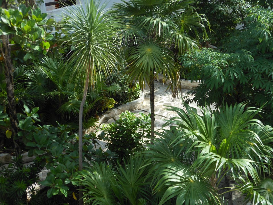 Garten Hotel Pelicano Inn