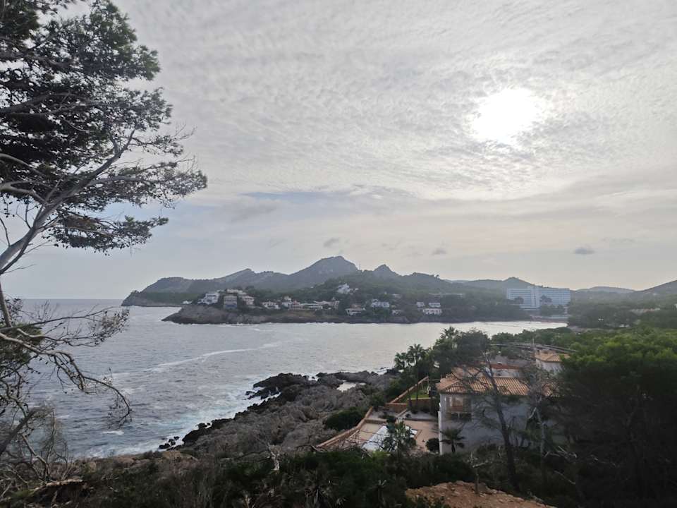 Ausblick Iberostar Waves Pinos Park