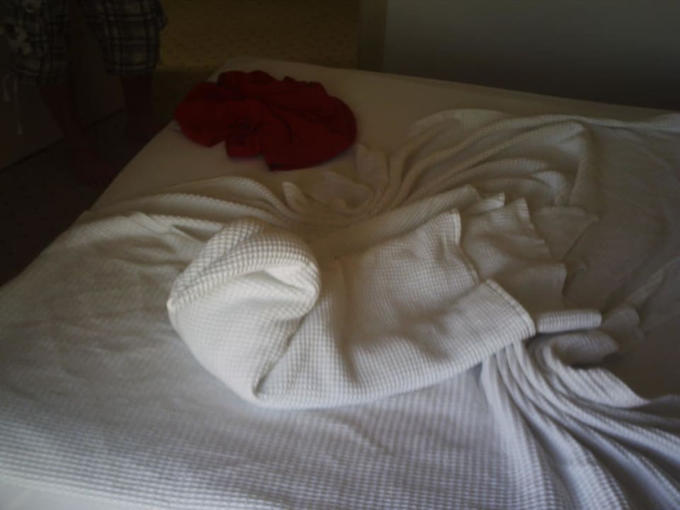Deko im Zimmer Grand Seker Hotel