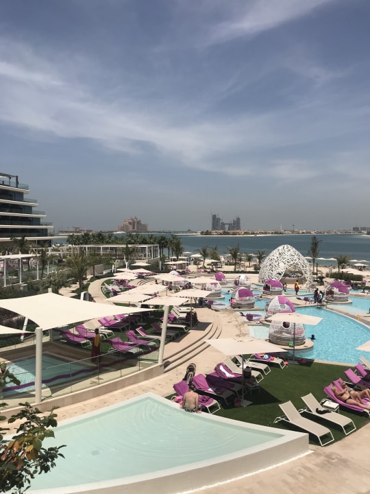 Pool W Dubai - The Palm