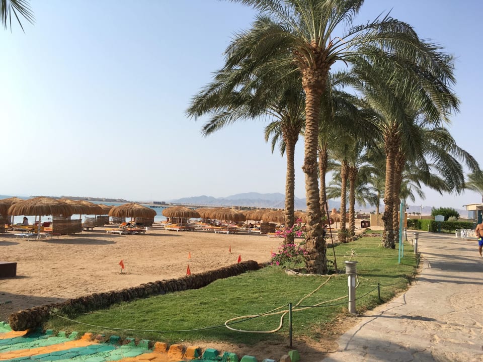 Strand Sentido Caribbean World Soma Bay