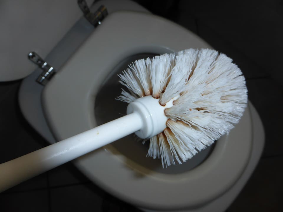 WC Bürste Sardafit Nr. 555a - Surfer's Traumhaus an zwei Sandstränden