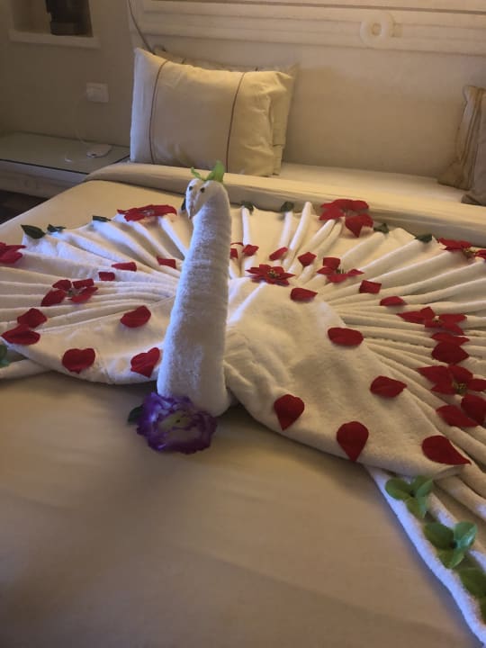 Zimmer Makadi Spa - Adults only