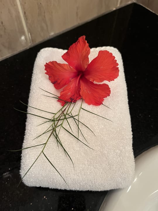 Zimmer The Oasis Hotel Restaurant & Spa