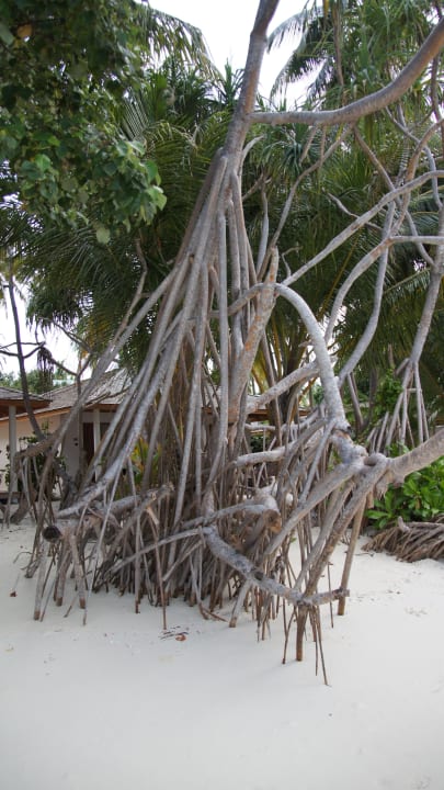 Vilamendhoo Vilamendhoo Island Resort & Spa