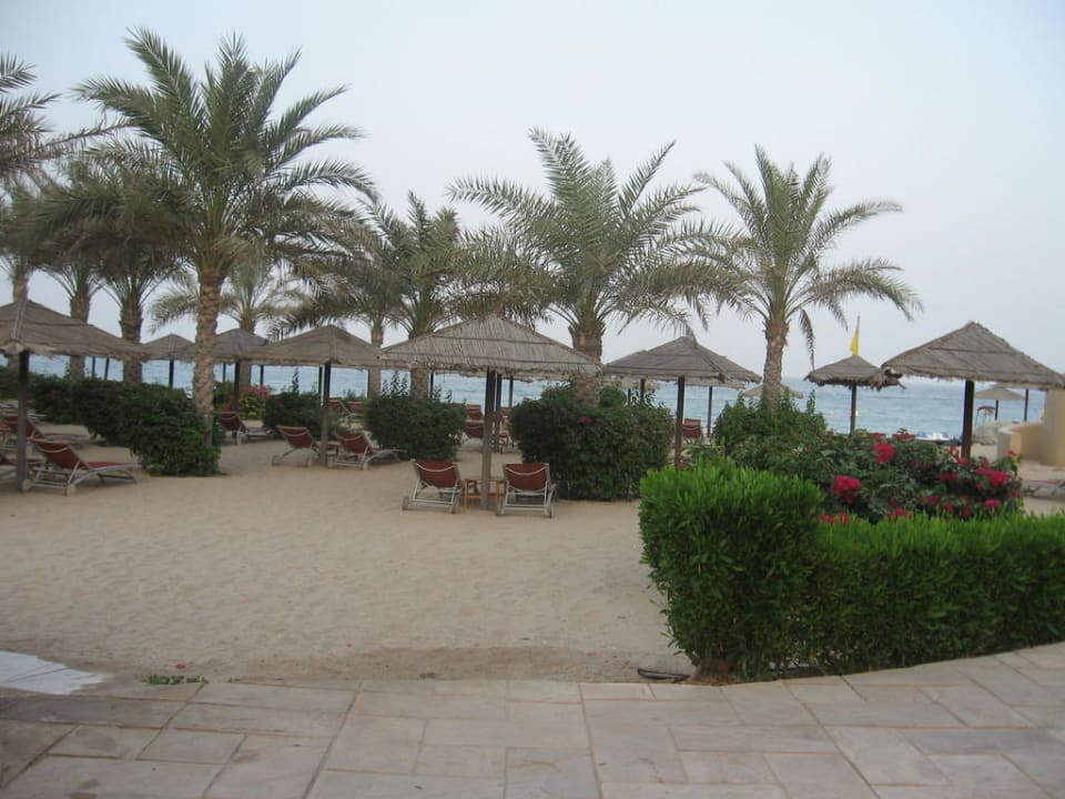 Nie überlaufen Miramar Al Aqah Beach Resort