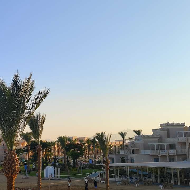 Ausblick Beach Albatros Resort