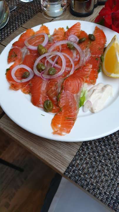 Gastro Acanthus Cennet Barut Collection