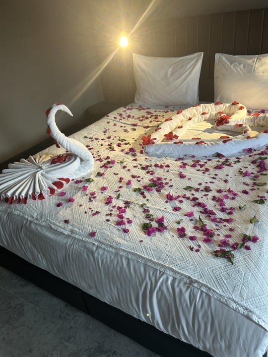Zimmer Adora Hotel & Resort