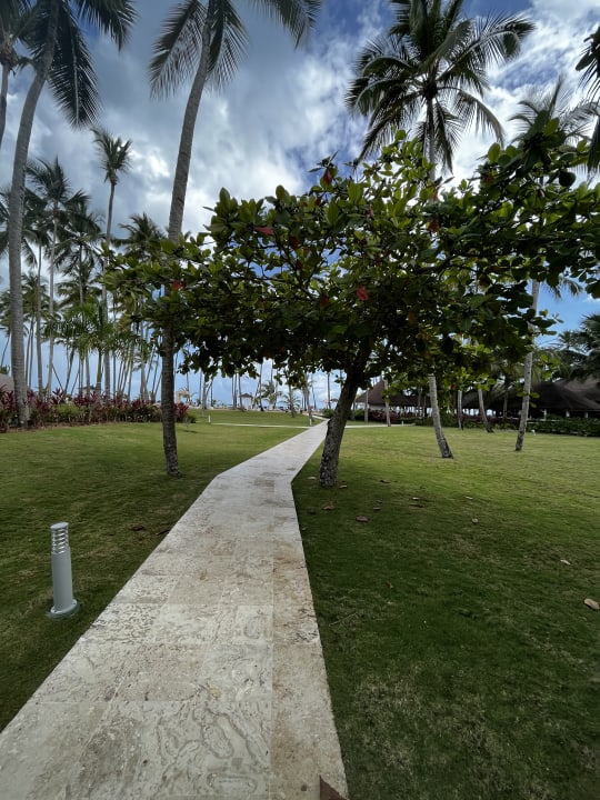 Gartenanlage Viva V Samana by Wyndham – Adults Only